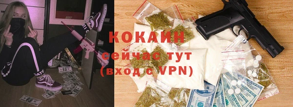 твердый Алзамай