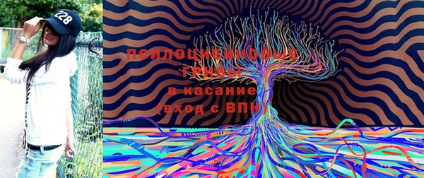 прущая мука Алексеевка