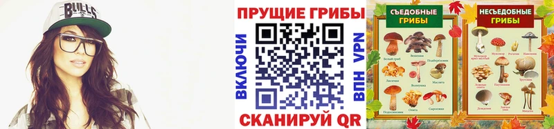 Псилоцибиновые грибы Cubensis даркнет сайт Джанкой