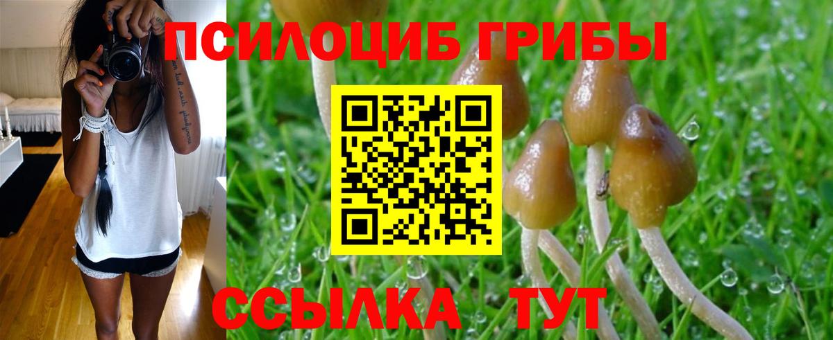 Галлюциногенные грибы мухоморы Джанкой